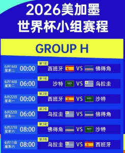 世界杯激战 雷速实时比分